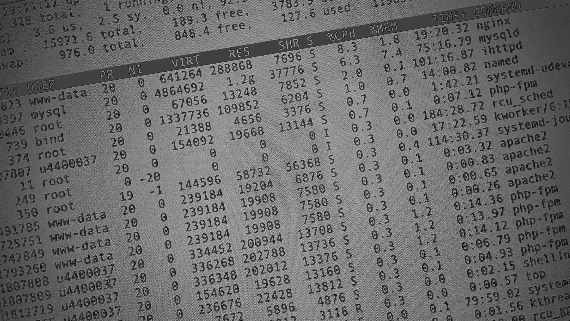 Настройка сервера в Судже