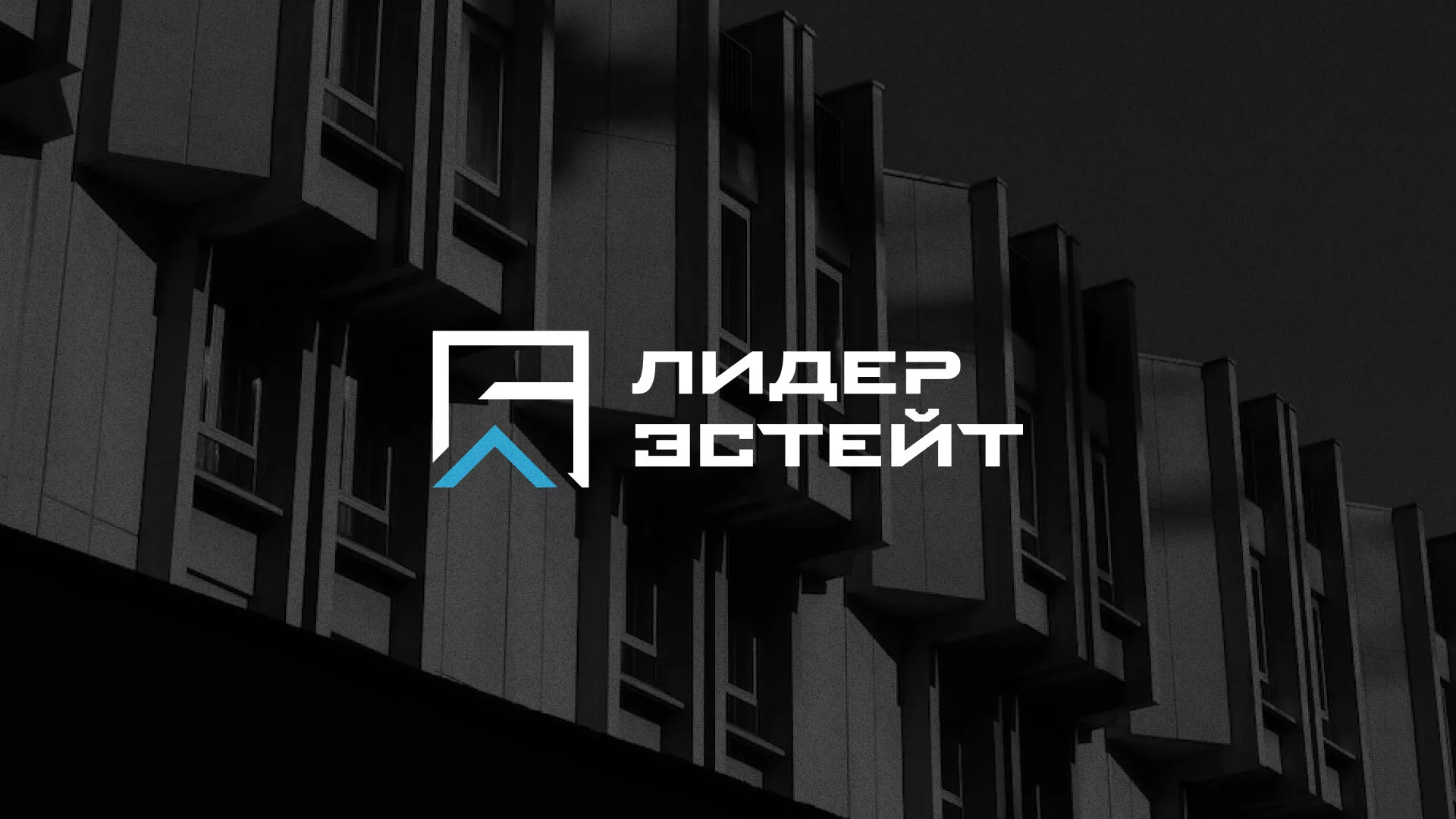Разработка логотипа агентства недвижимости «Лидер Эстейт» в Судже